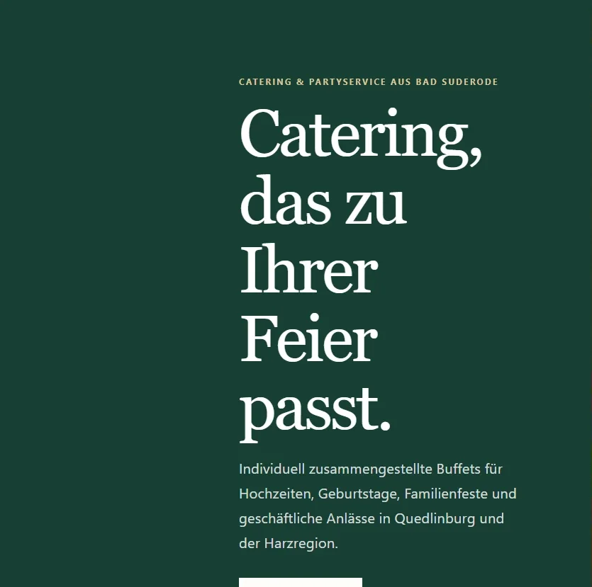 Linke Hälfte des ersten Bildschirms der Harzbuffet-Website mit Headline und Beschreibung